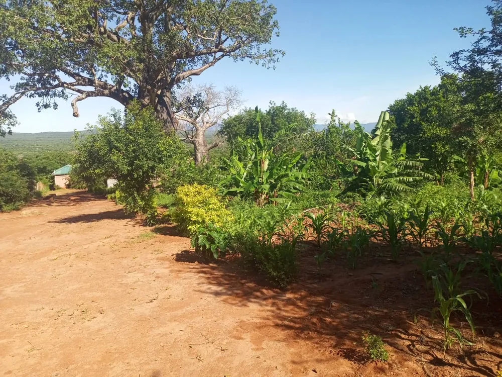 Labl demonstration farm with crops and vegetation