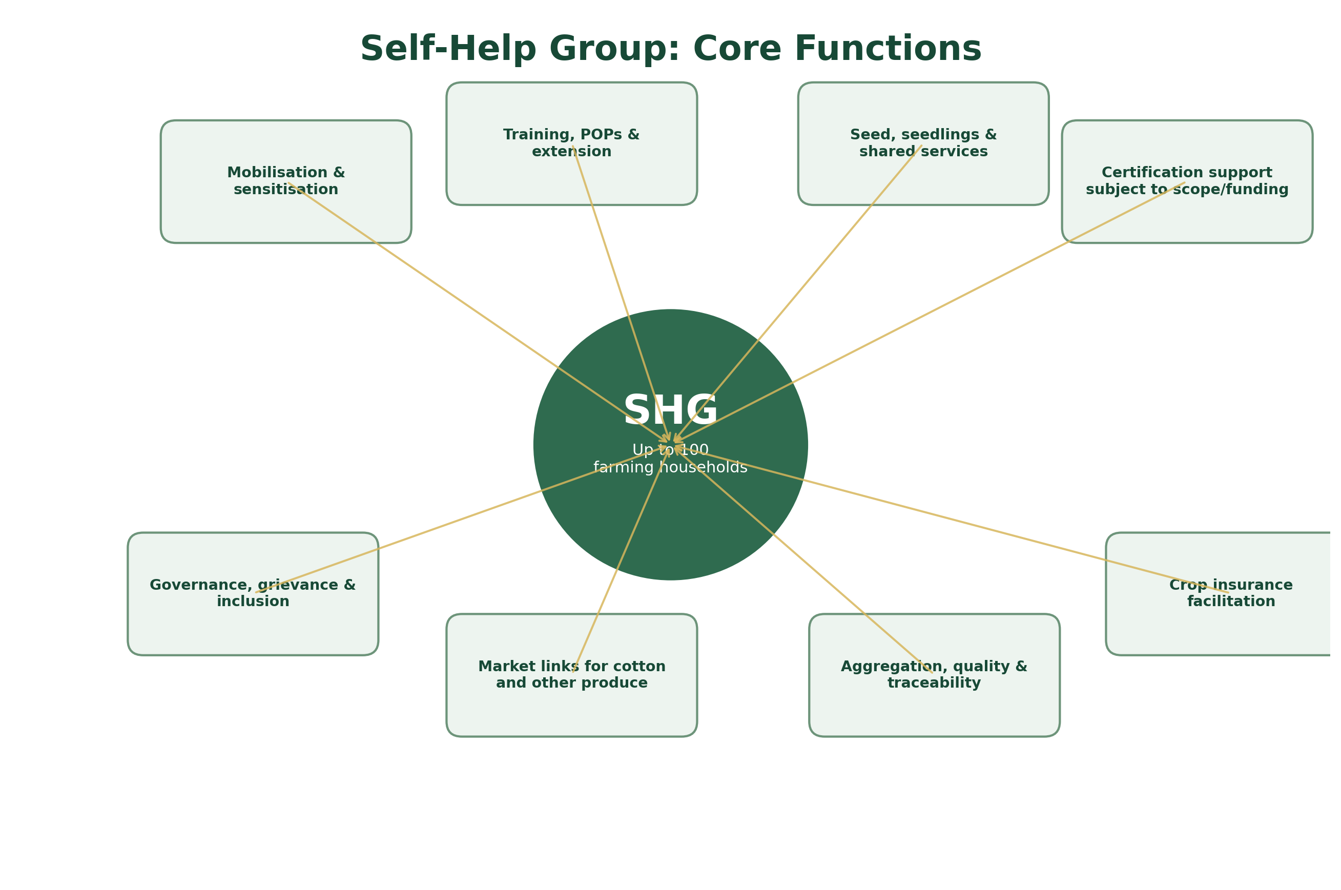 Self-help group core roles